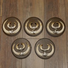 Wildschweinwaffen (Sus Scrofa)