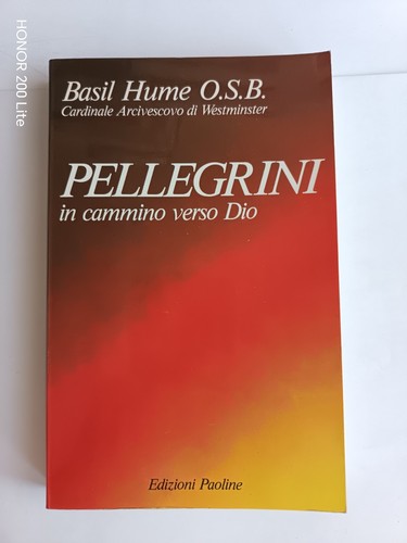 Hume pellegrini in cammino - -,