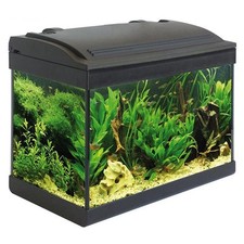 Acquario MTB  Milo 43 Ledline
