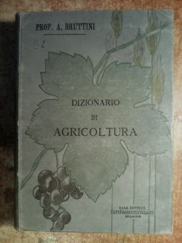 Libro epoca dizionario - d', :