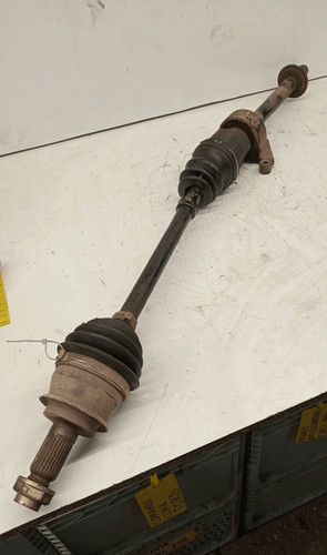 31607518238 semialbero ant - semialbero,