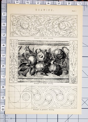 1886 disegno stampa vari - 1886,