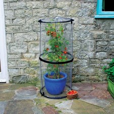 Haxnicks Pop-Up Cloche di Pomodoro Facile da Usare Protezione Piante H 1,1m x L50cm