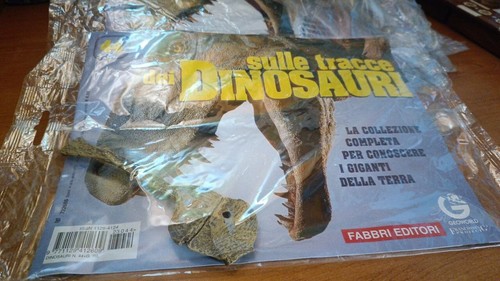 Sulle tracce dei dinosauri n44