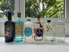 Bottiglie gin vuote - gin,