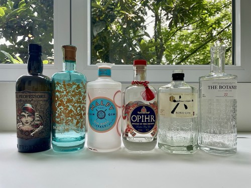 Bottiglie gin vuote - bottiglie,