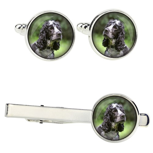Cocker spaniel americano set - cocker,