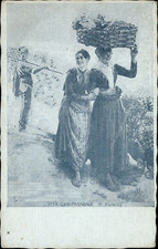 ct561 cartolina vita campagnola r. focardi