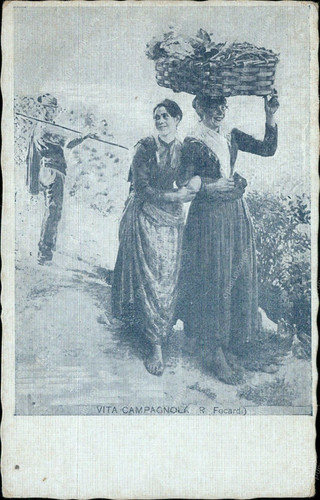 Ct561 cartolina vita - cartolina,