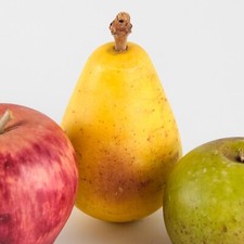 Set 3 - Stelo Legno Frutti di