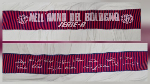 Sciarpa nell anno - nell'anno, bologna