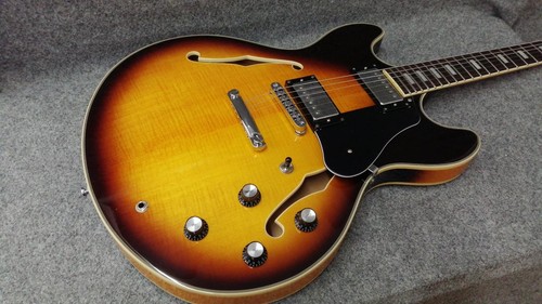 Chitarra elettrica