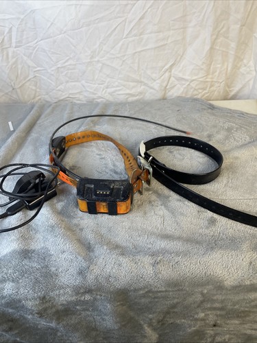 Garmin dc50 gps collare - garmin,