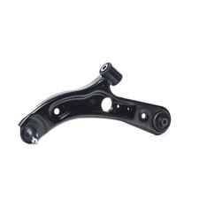 DELPHI Braccio oscillante