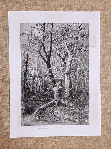 Nel bosco quadro francesco - bosco,