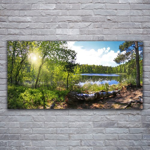 120x60 stampa tela - su,