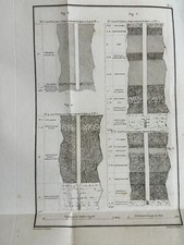 Libro Antico Illustrato