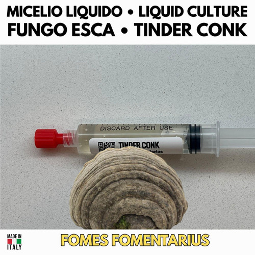 Fungo dell esca coltura - fungo, dell'esca