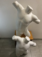 Busto Donna E uomo  In