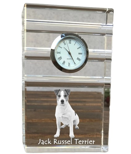 Jack russell terrier - russell,