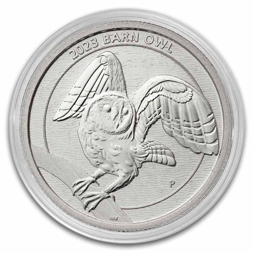 Australia 2023 barn owl - australia,