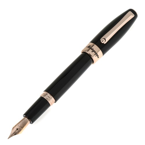 Penna stilografica montegrappa - stilografica,