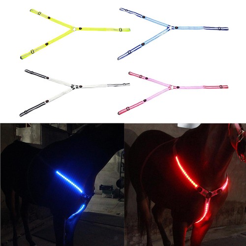 Led cavallo collare - led,