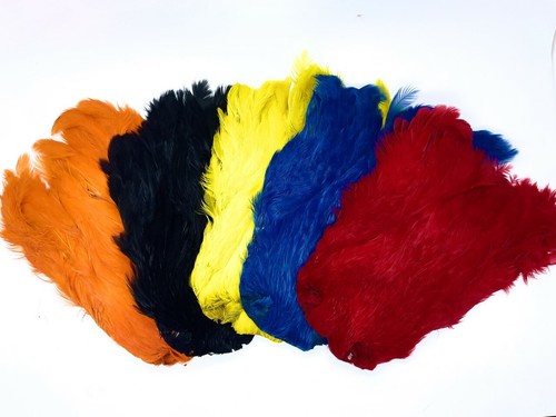 Collo gallina tinto piume - gallina,