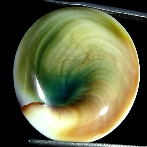 Occhio di shiva - 30,50,