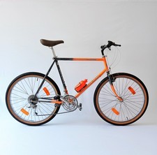   Colnago Master colorazione