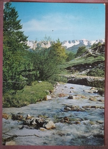 Parco nazionale abruzzo - d',