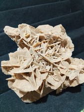 Rosa Del Deserto Sahara