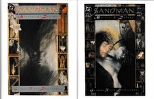 Sandman #1 & #2 DC Vertigo
