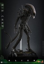 PREORDER Alien MMS 1/6 Big Chap Xenomorph 36 cm