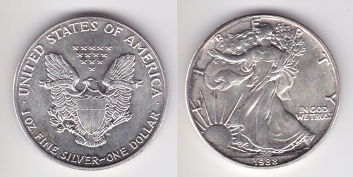 Moneta argento dollaro - moneta,