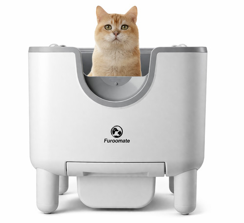 Lettiera automatica per gatti - lettiera,