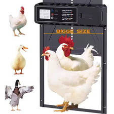 Porta automatica per - automatica, pollaio