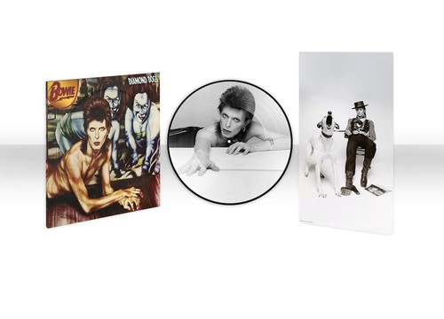 David bowie diamond - david, dogs