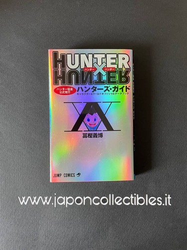 Hunter association - hunter, x