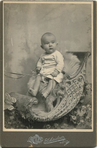 Divertente calvo bambino - calvo,