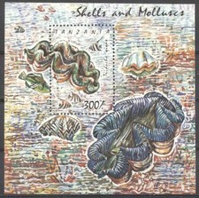 (178472) Conchiglie, Sealife, Tanzania