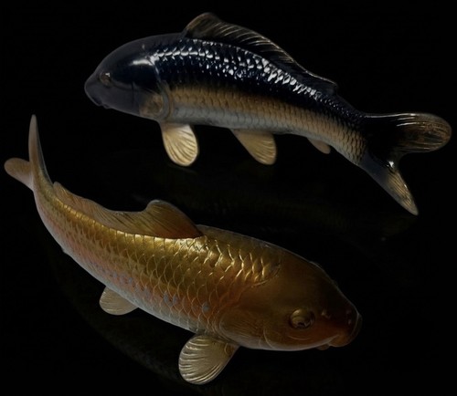 Set statua koi sacra - koi,
