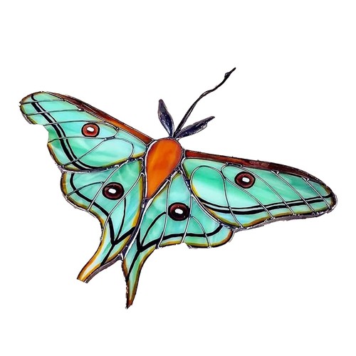 Colorata acchiappasole in - colorata,