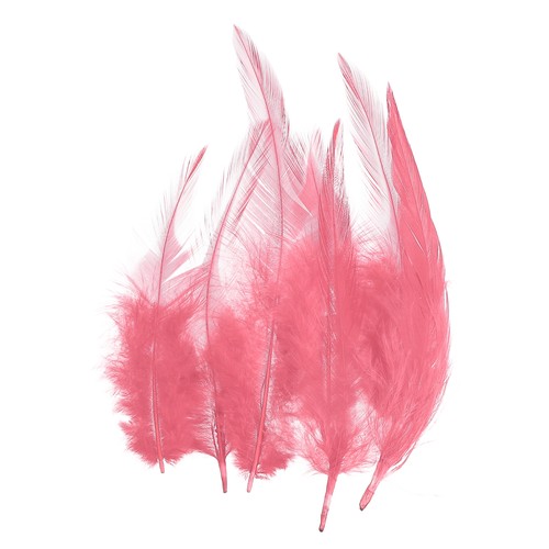 120 pzas plumas gallo - 120,
