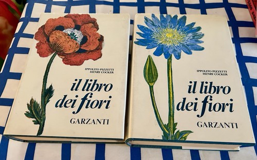 Libro dei fiori - ,, 1/2