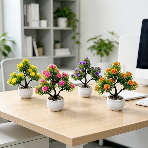 Pianta bonsai pino in - di,