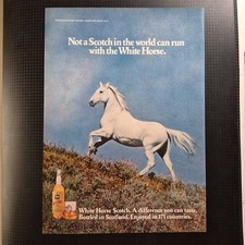 1978 White Horse whisky - Original AD Advertising Pubblicità Vintage