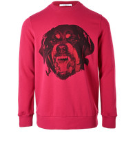 Maglione Givenchy Rottweiler
