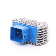 BorgWarner (BERU) GSE142