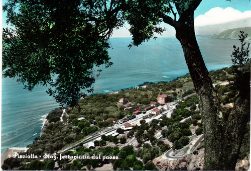 377 1961 pisciotta - 377,